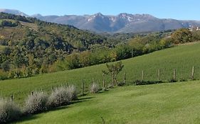 Appartamento Bel Salino